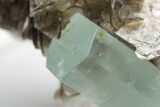 Gemmy Aquamarine Crystals with Muscovite - Skardu, Pakistan #207192-3
